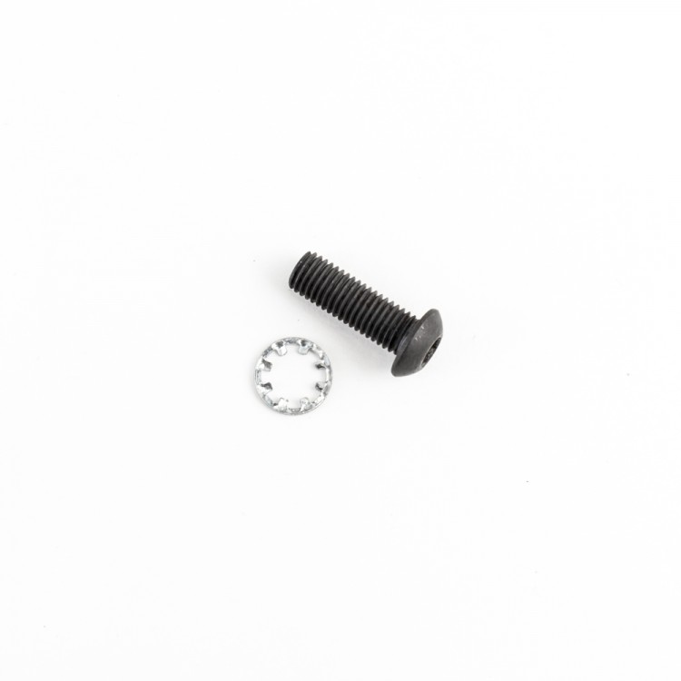 AR15 Pistol Grip Screw and Lock Washer